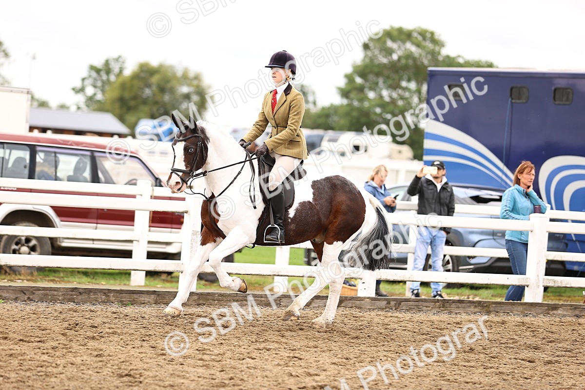 SBM_01379 - Class 54 - Riding Club Horse Pony