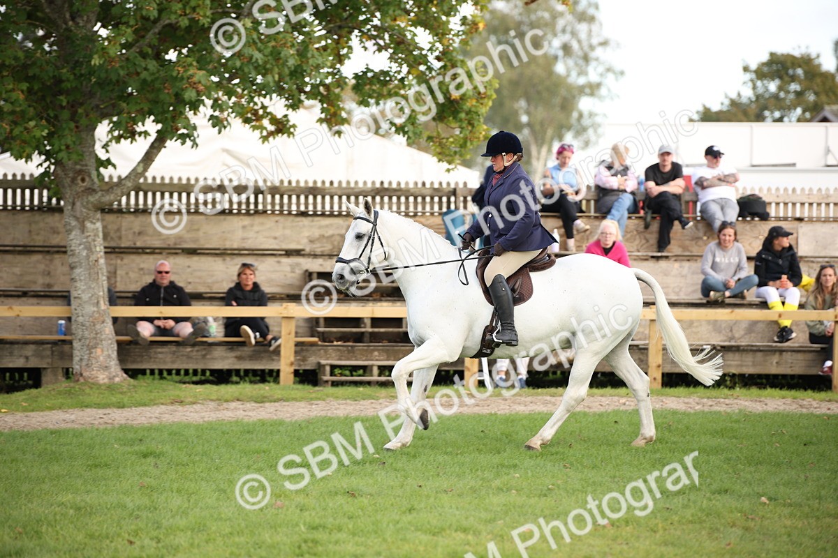 SBM_50211 - S26 - Young Veteran - Ridden