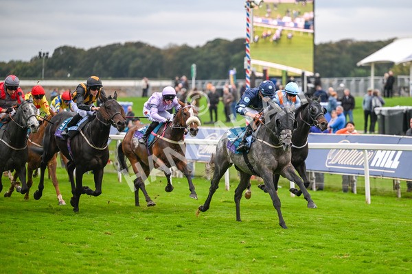 101025-Race 7-Sky Advocate-7167 - Race 7 PJ Staffing Group Apprentice Handicap at York