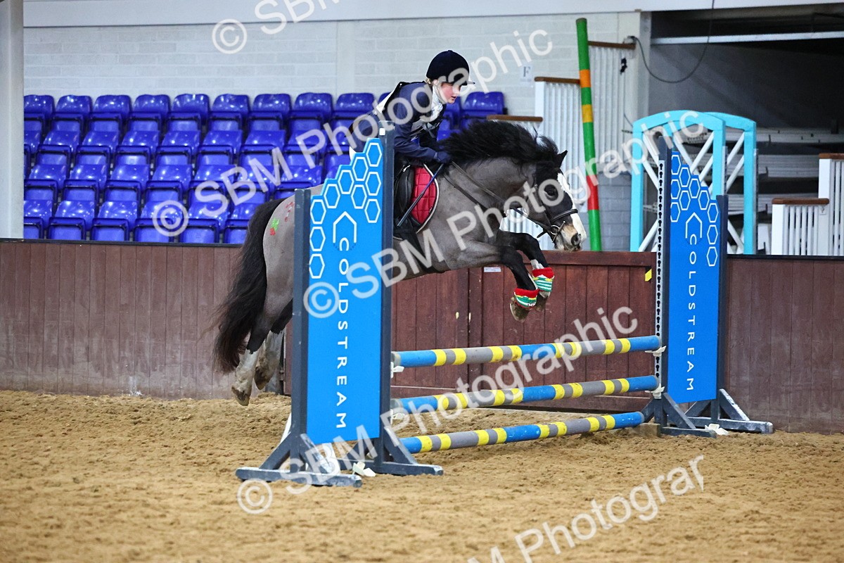 SBM_001267 - Class 3 - Christmas Tree Stakes - 60cm