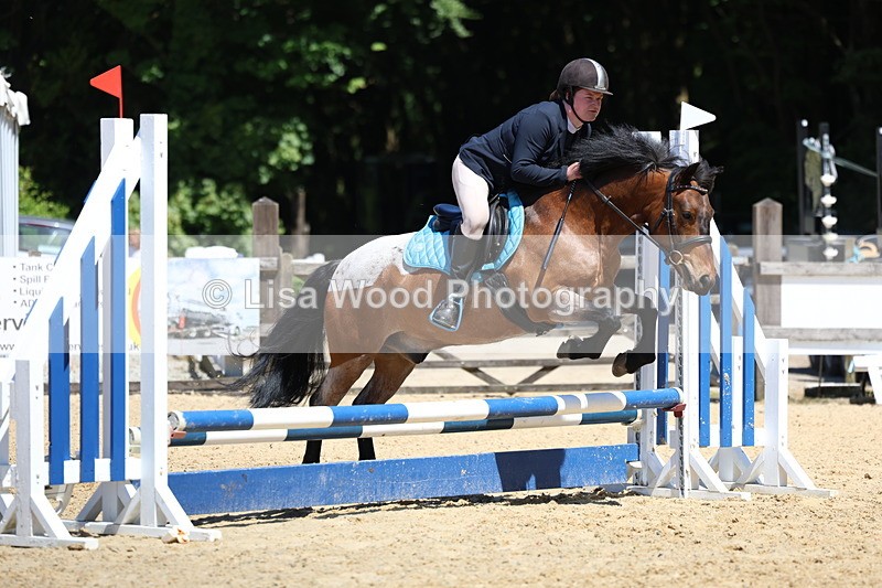 3E7A2617 - Class 4/5: 60cm Open Teams and Individuals