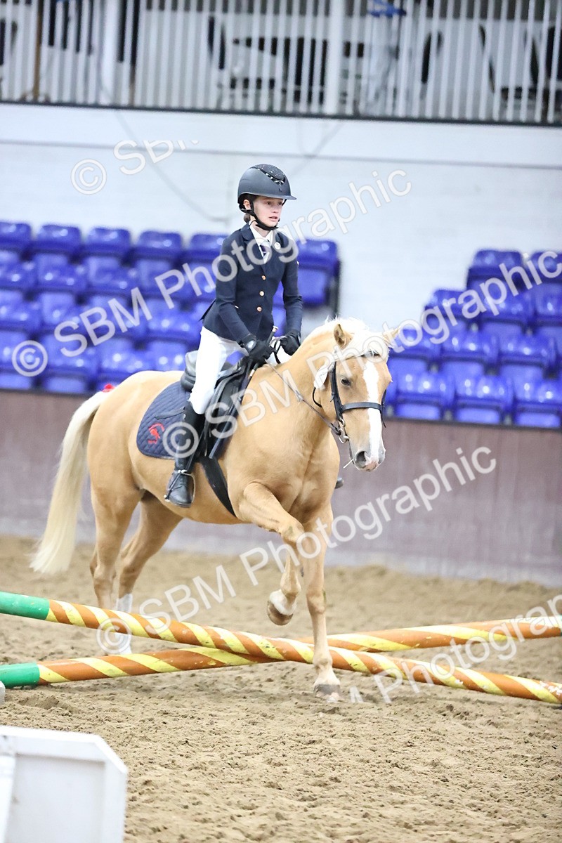 SBM_000080 - Class 1 - Fox Farriers 30cm