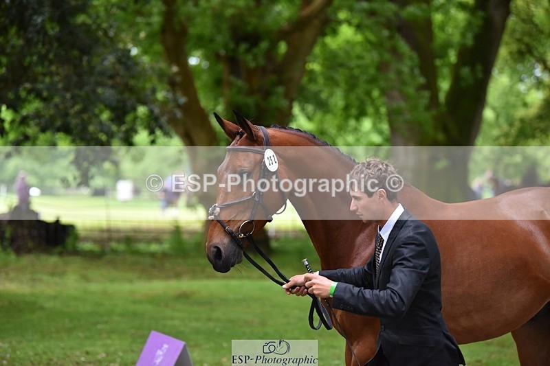 240522-171106-01441 - 252-HARIBO_LOUVO-Gaspard_Maksud
