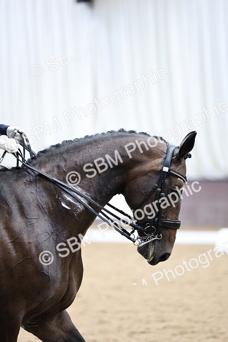 SBM_002116 - Class 10 - Medium 5