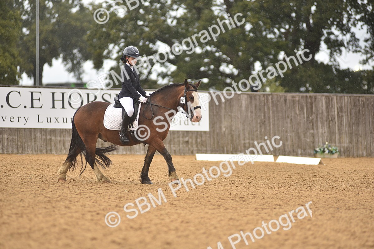SBM_42514 - D22 - Junior Championship Intro 3
