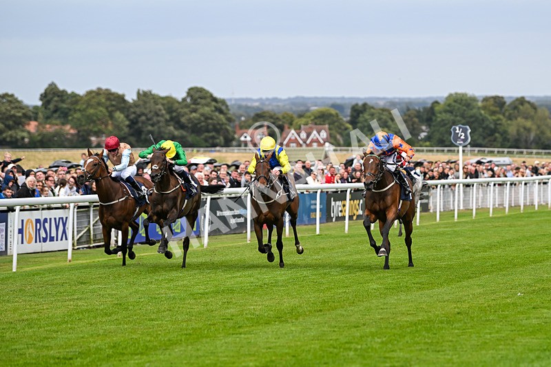 250824-Race 3-Blueandtangerine-3220 - Race 3