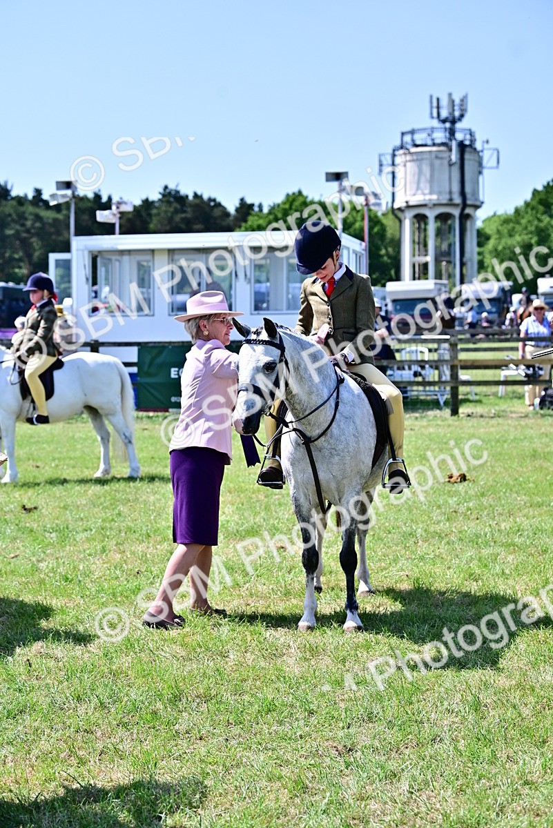 SBM_14035 - Class 95-97 - BSPS LHS Performance Ponies