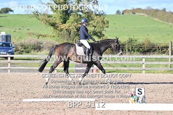 BPP_9112 - SHORT ARENA