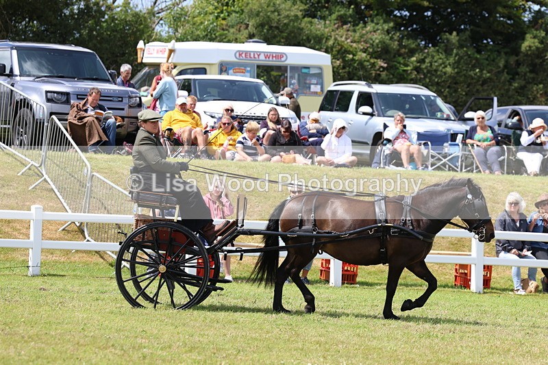 3E7A2668 - Class 12: Open Driving