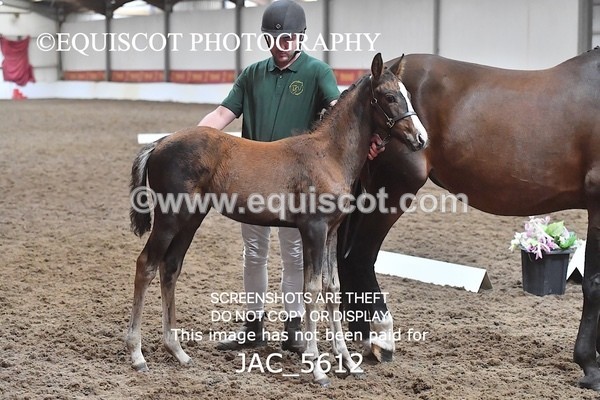 JAC_5612 - 13 Zi Real McCoy