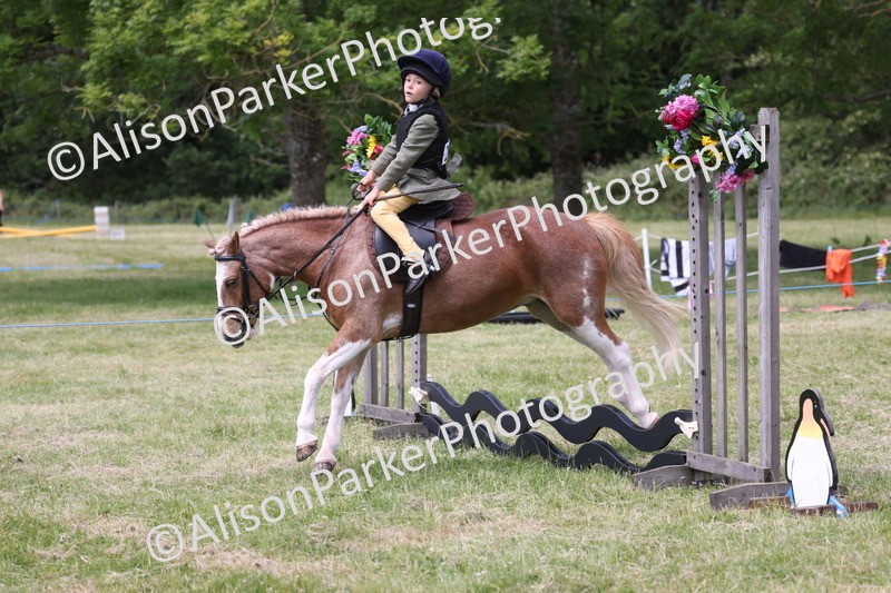 20260614-2047 - Class 21 - Novice Working Hunter Pony