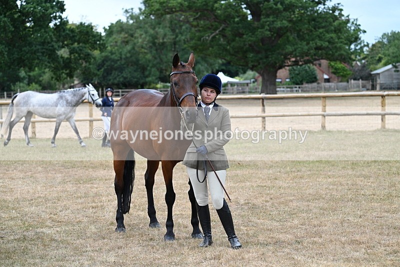WJ7_9174 - Class 4a Prettiest Mare 14.2hh and over