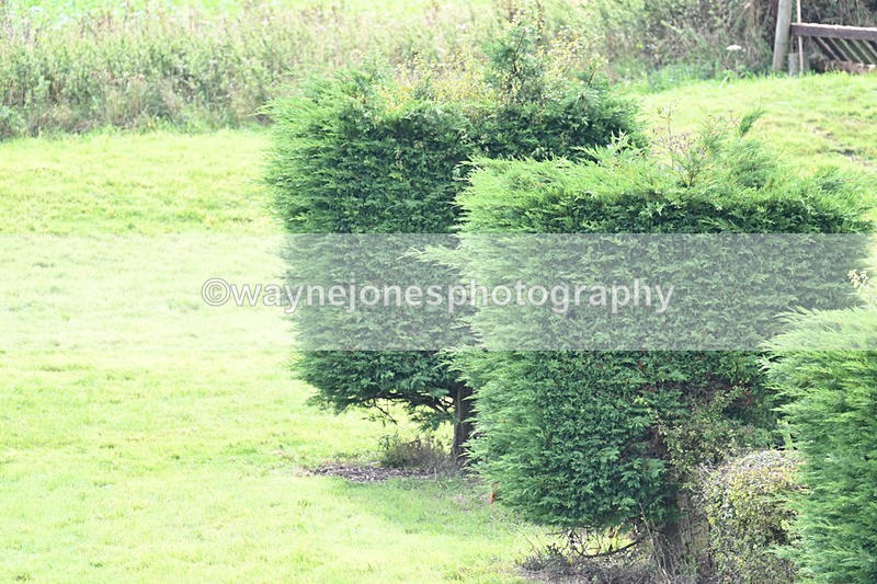 WJ7_7632 - Time 13:30 to 13:48