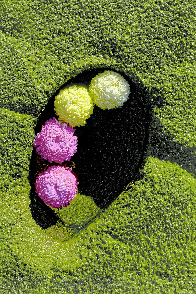 ENTROPY  TRIPTYCH XVlll-XXl - ENTROPY 2023