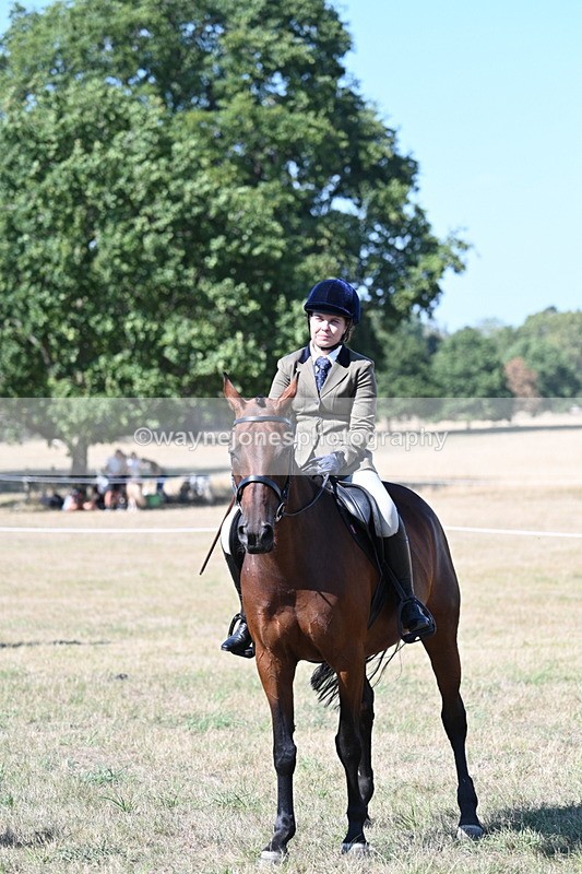 WJ7_1276 - Class 41 Prettiest Mare