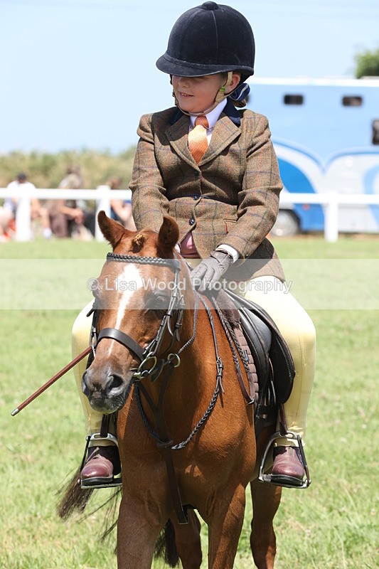 JPP_2369 - Class 20: Tiny Tots Working Hunter Pony