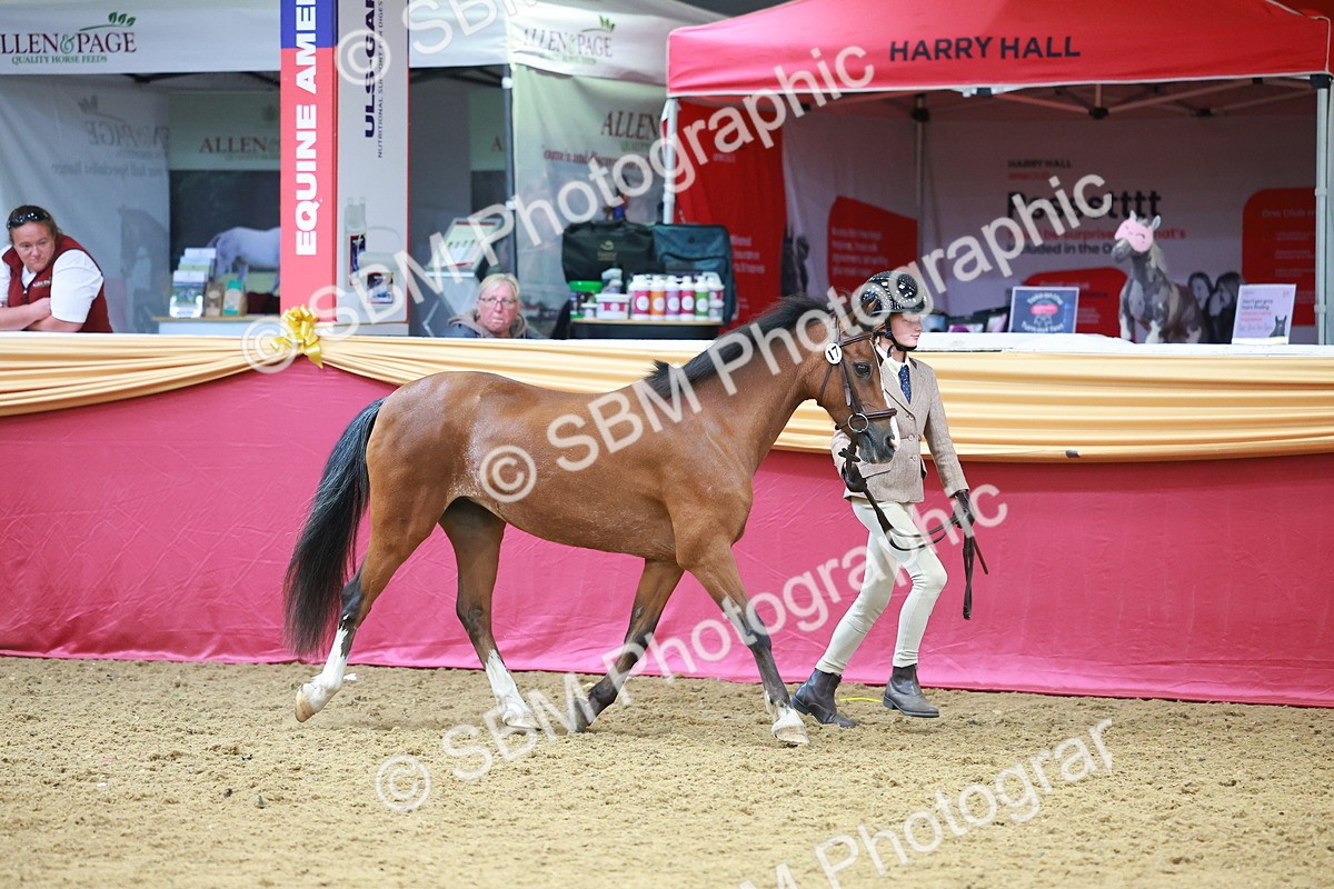 SBM_04206 - Class 9R - IH Pre-Vet