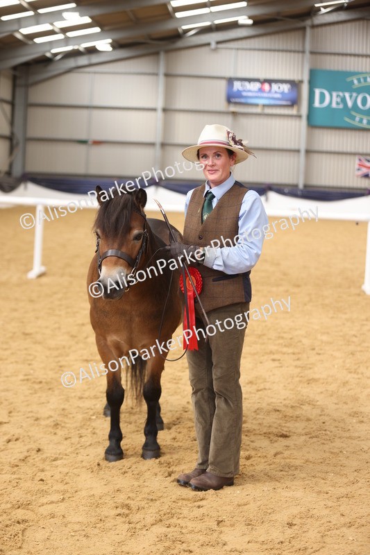 20260913-1731 - Class 115 - Gelding 4years and over