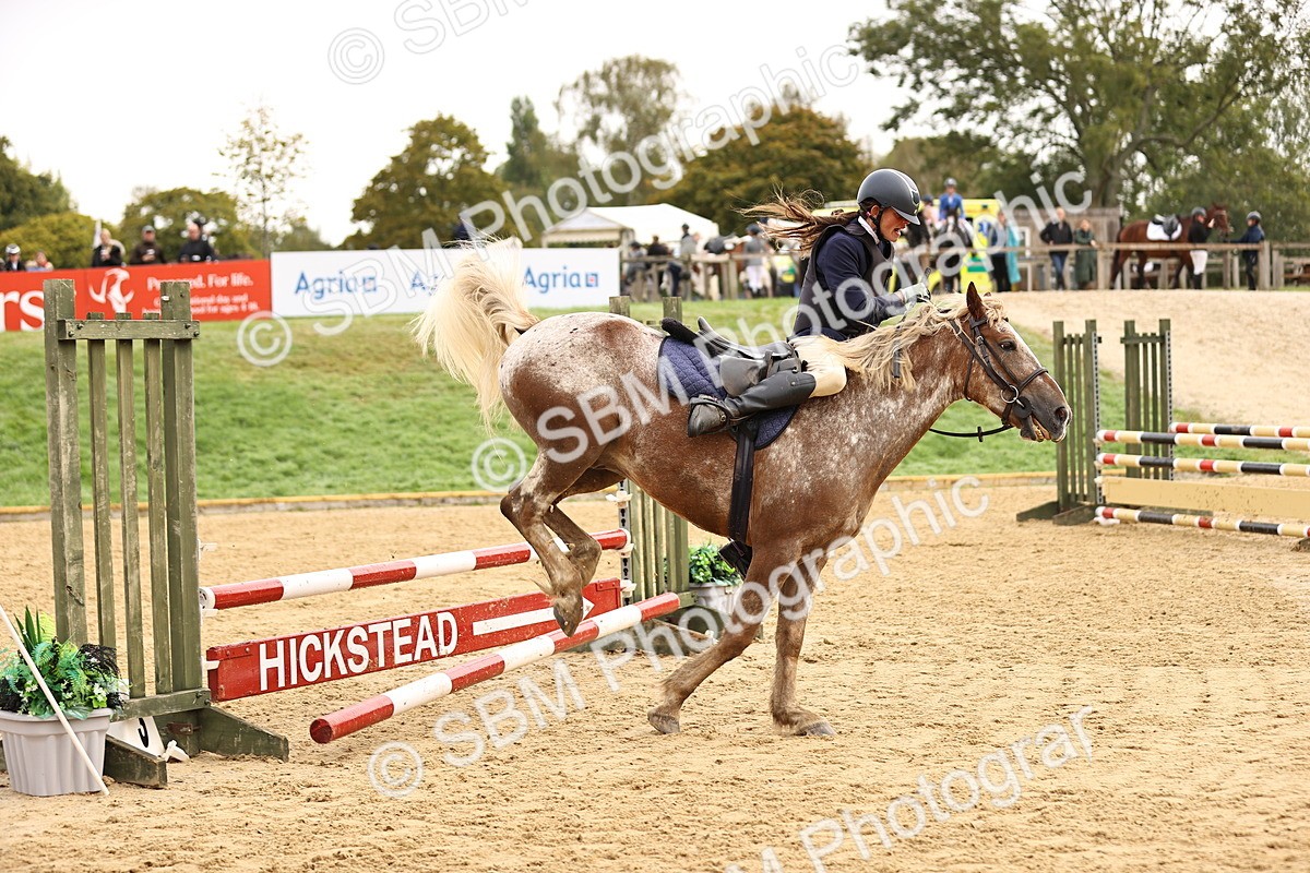 SBM_58413 - J41 - Grand Tour Horse & Pony 95cm