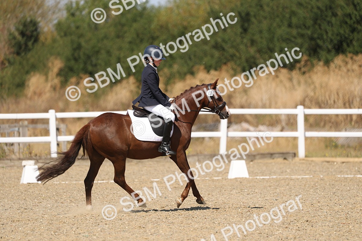 SBM_013713 - Class 1 - P5 Bronze 10.38.12.02