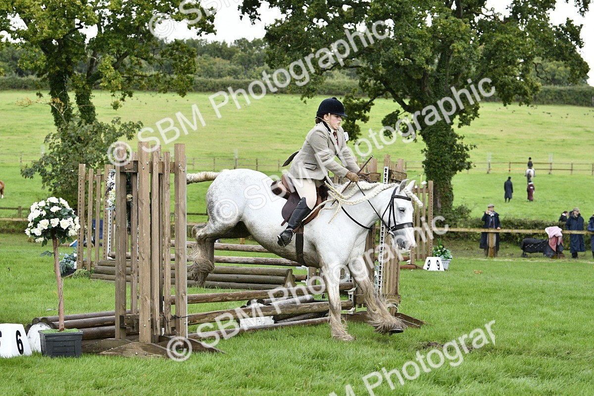SBM_41541 - S32 - Mountain & Moorland Working Hunter Pony