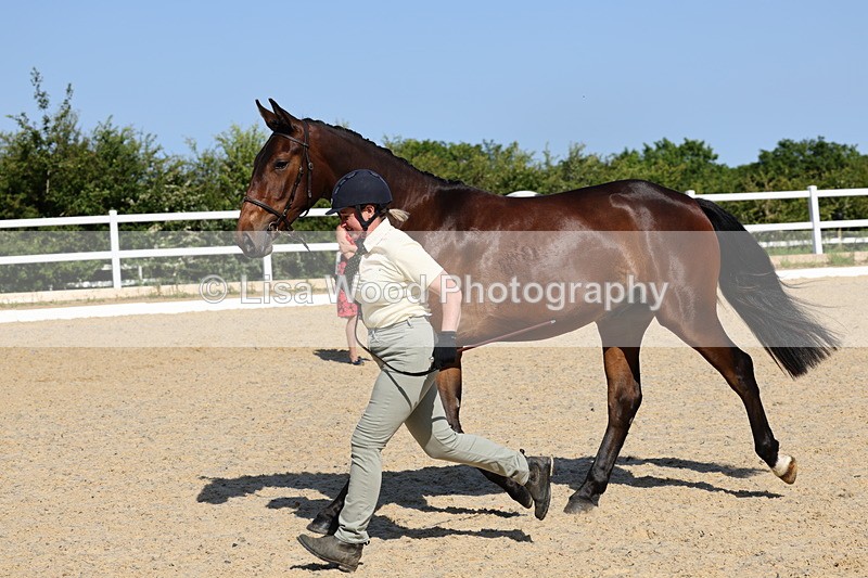 1X9A0787 - Class 4: Youngstock 1, 2, 3 year old to exceed 153cm