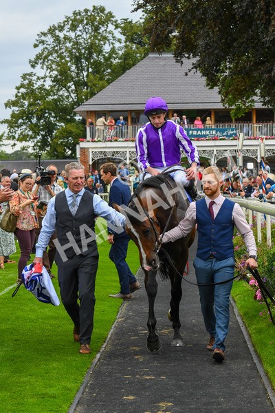 230823-Race 3-Continuous-0489 - Race 3 3.00pm Sky Bet Great Voltigeur Stakes