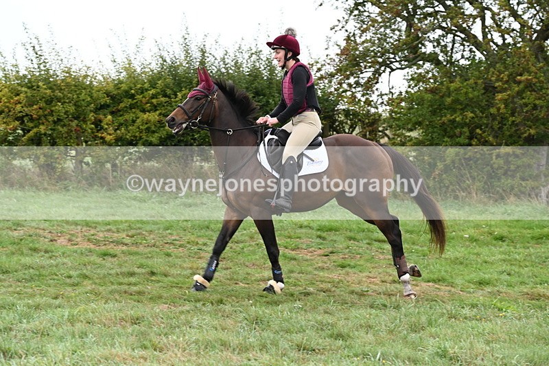 WJ6_1365 - Time 10:05 to 10:30  (3 cameras)