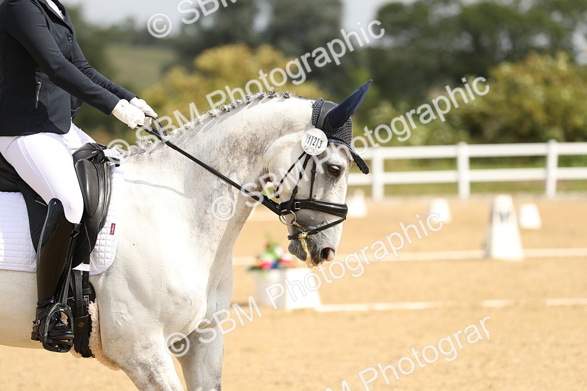 SBM_016410 - Class 13 - Novice 23 - 11.25-12.35