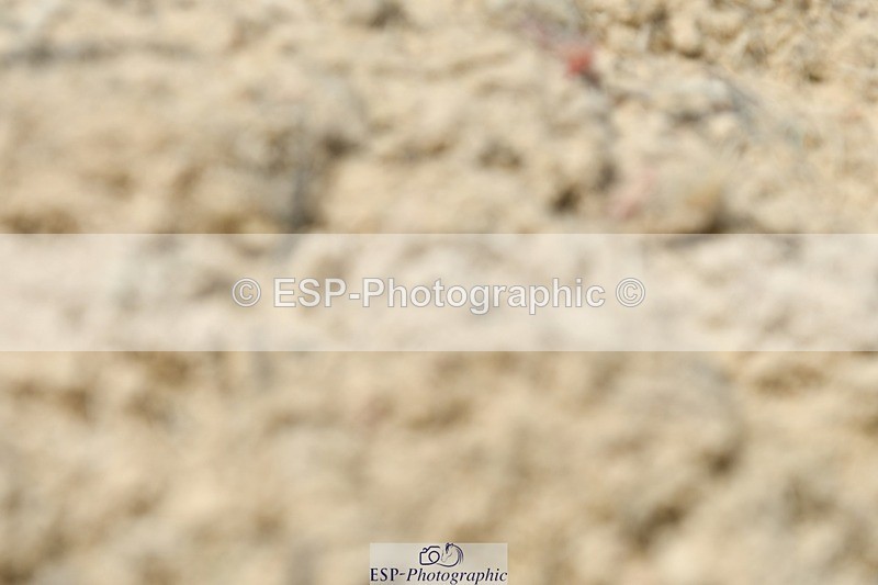 230623-125720-00754 - Cls 3 Novice 23 12.10 to End