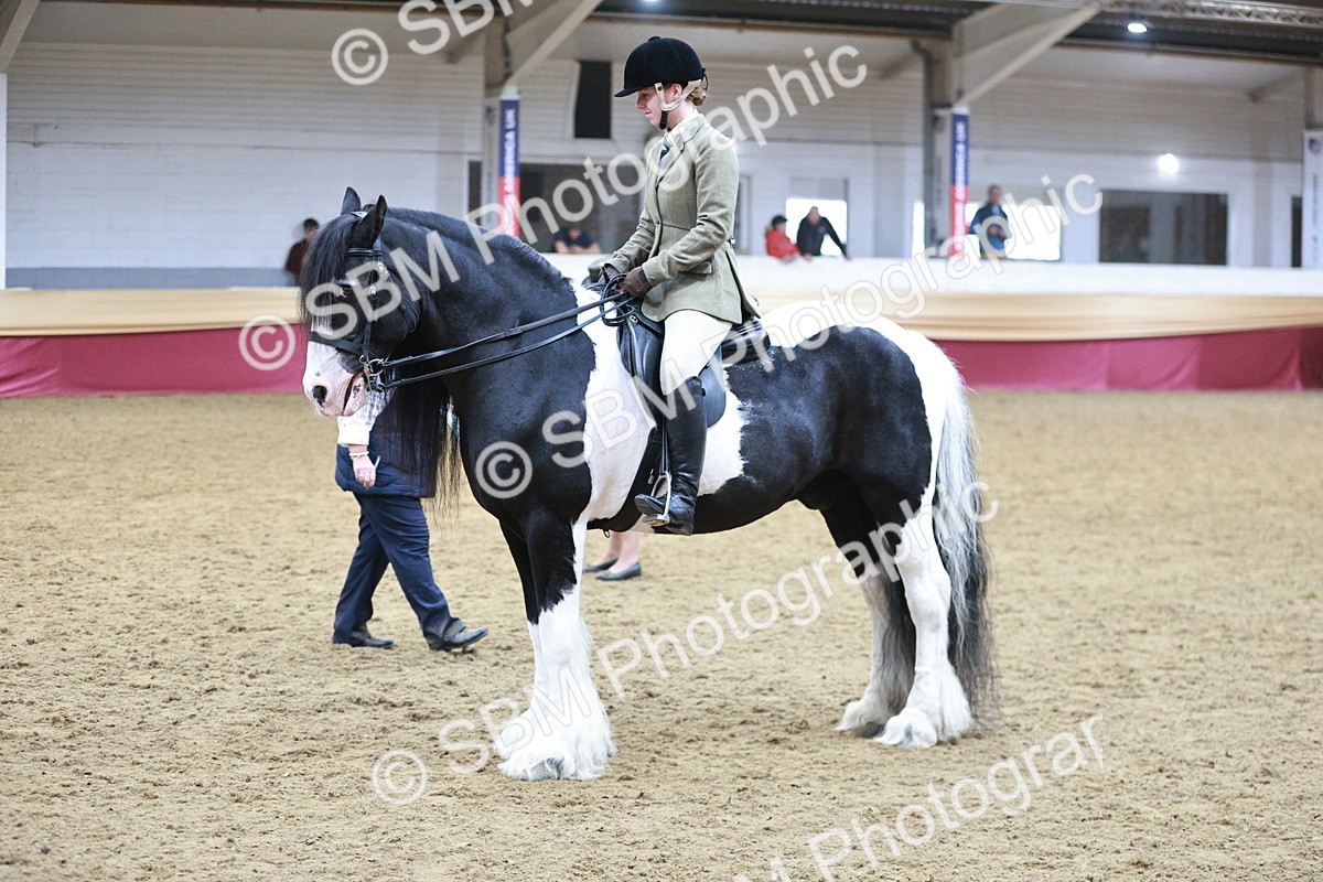 SBM_08903 - Class 12R - Regional Ridden Pre-Vet