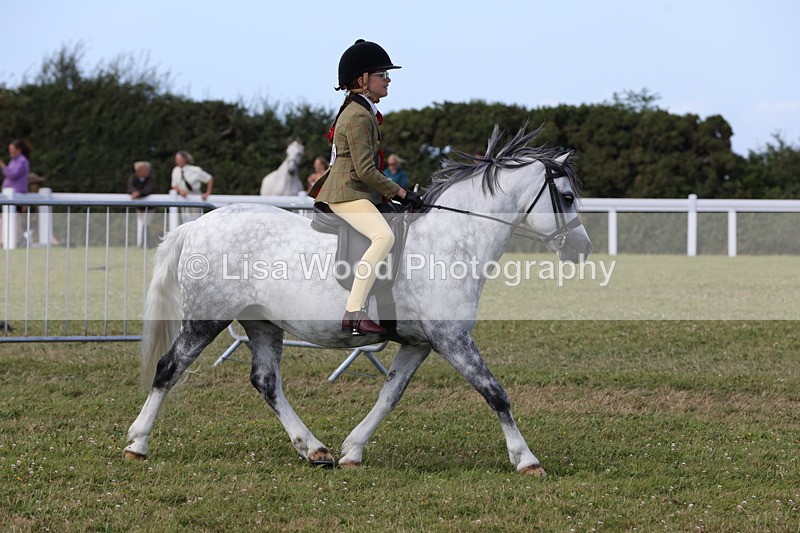 1X9A5461 - Class 37: NPS M&M First Ridden