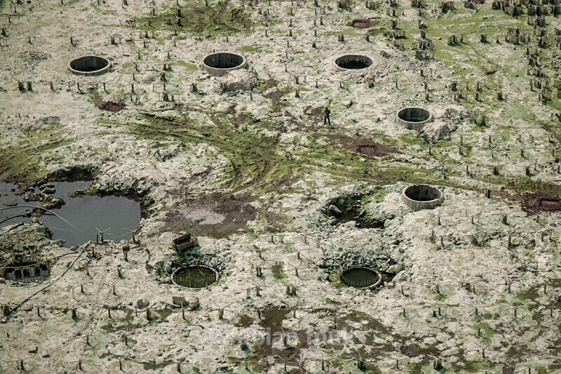  - Where the Wild Concrete Grows (China, ongoing)