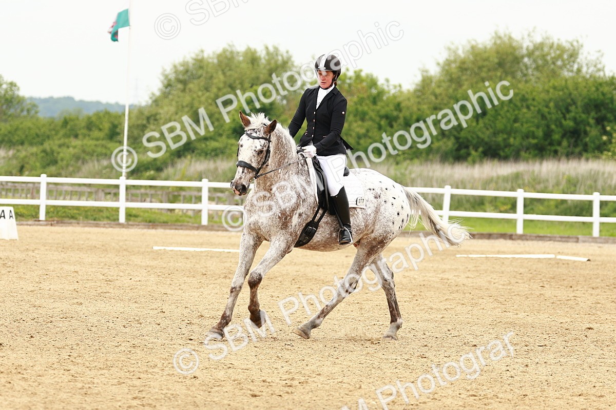 SBM_001269 - Class 7 - Novice 5