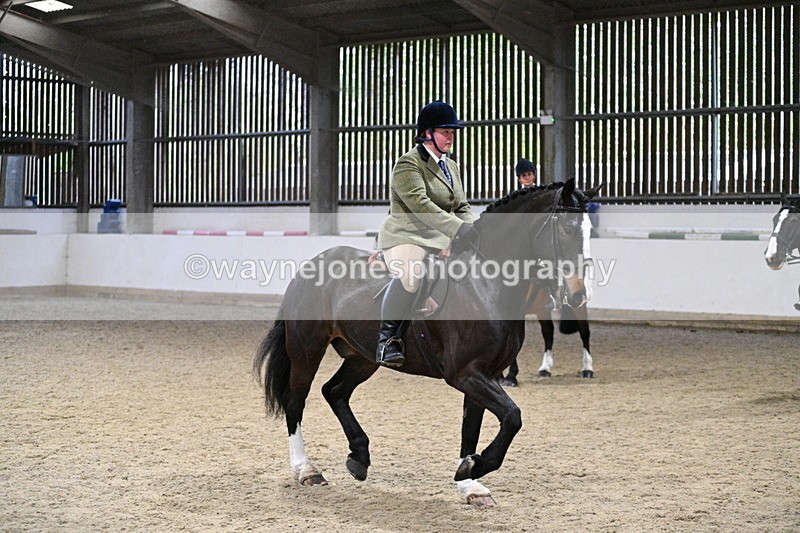 WJ7_3949 - Class 17 Ridden Cob