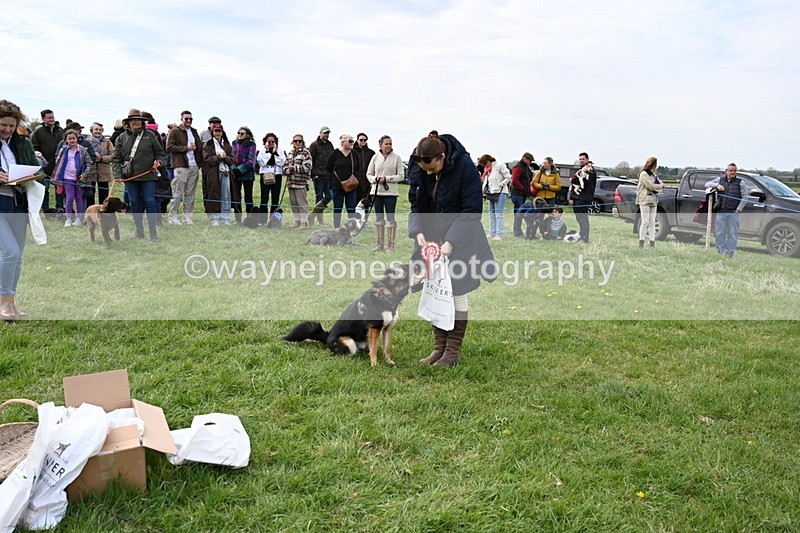 WJ6_8589 - Class 6 Best Rescue