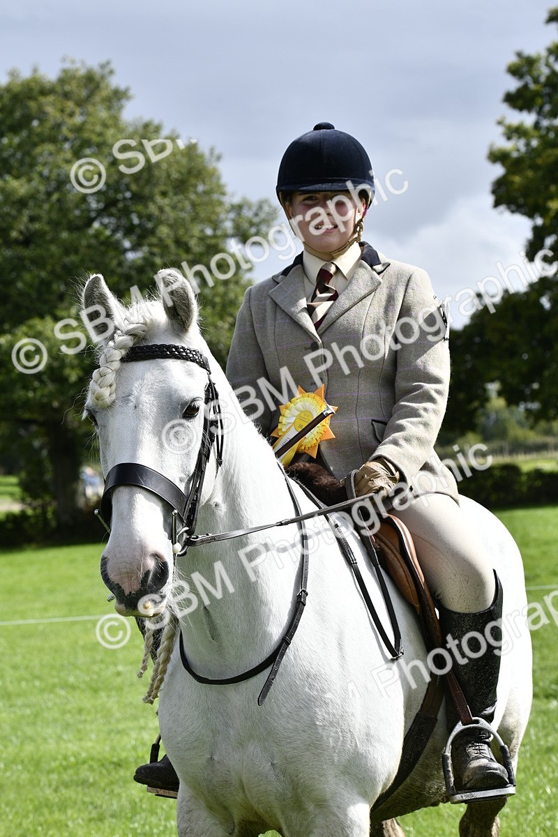 SBM_41677 - S32 - Mountain & Moorland Working Hunter Pony