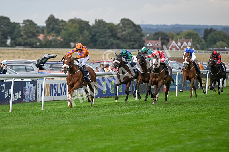 240924-Race 5-Ifonlytheycudtalk-6452 - Race 5