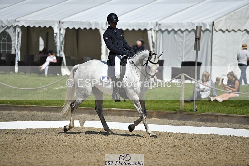 230525-103727-01753 - 314-CHANTILLY_AMATULLAH-Gaspard_Maksud-WEDTrotUp+DR