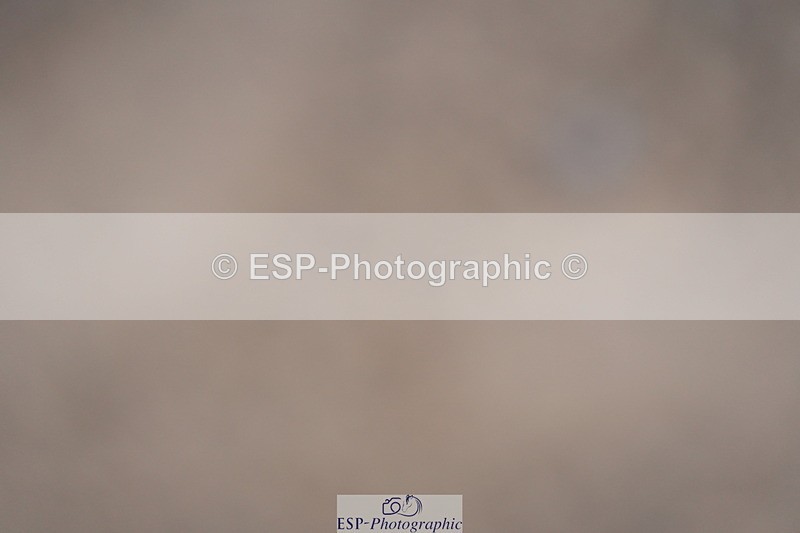 230924A-100810-04838 - 100 SJ Start to 11.00