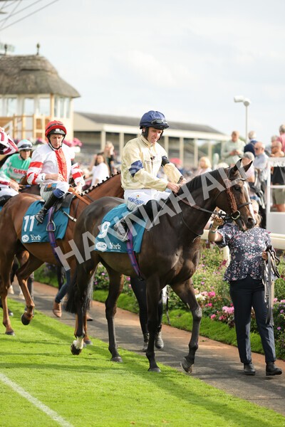 yr04092022r6-10 - Race 6 4.40pm Hanson Springs Stakes