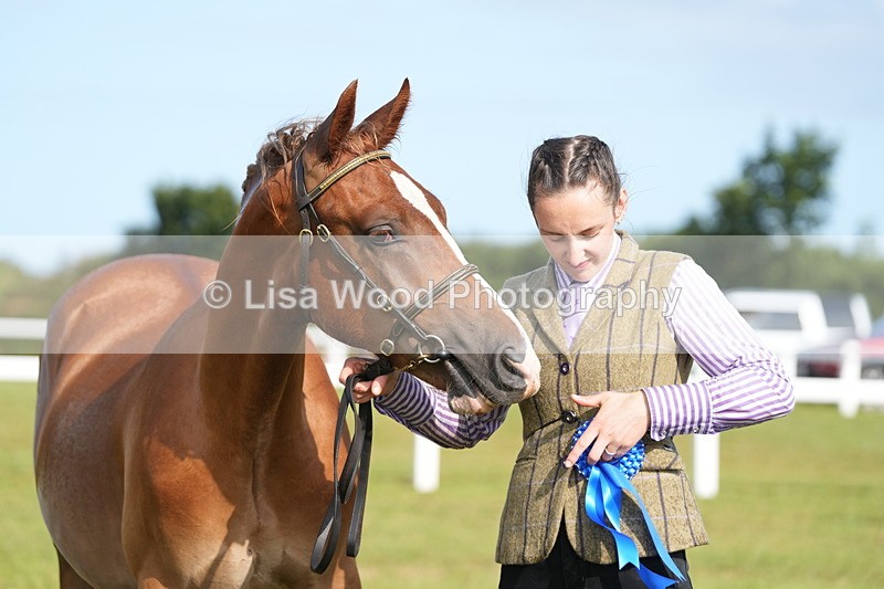 DSC04853 - Class 47: NPS M&M Yearling