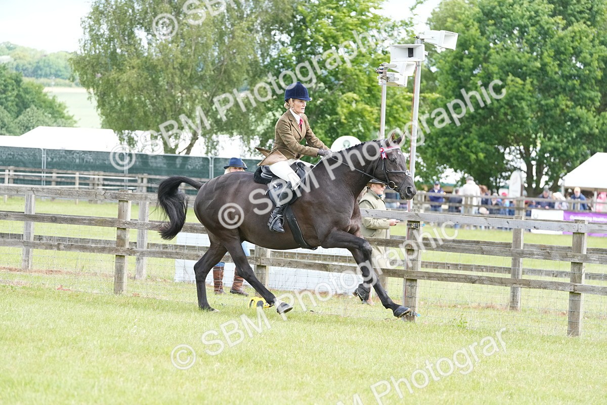SBM_12926 - Class 99 - RIHS SEIB Working Show Horse