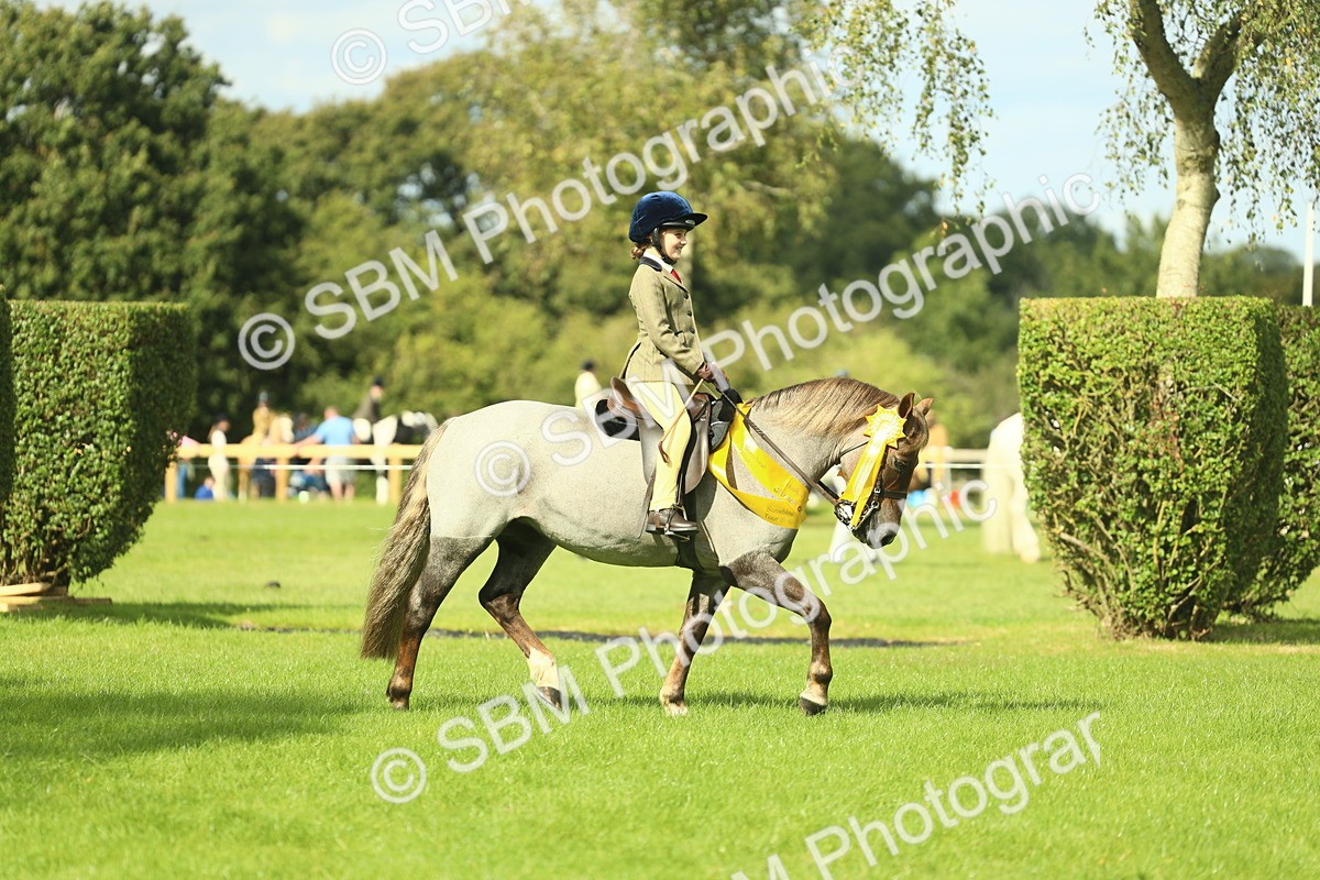 SBM_44889 - Working Hunter Pony Supreme Championship