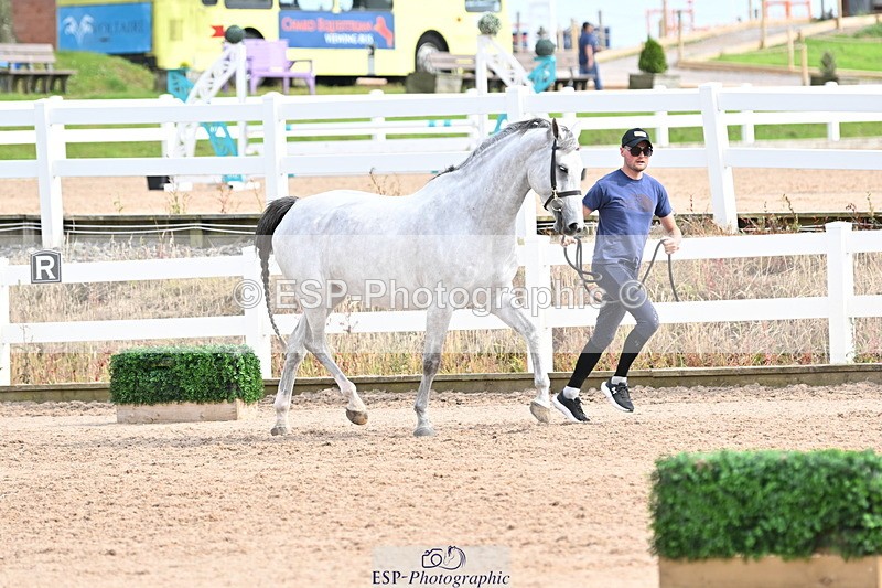 240717A-165743-03567 - Trot Up 4pm to 5pm
