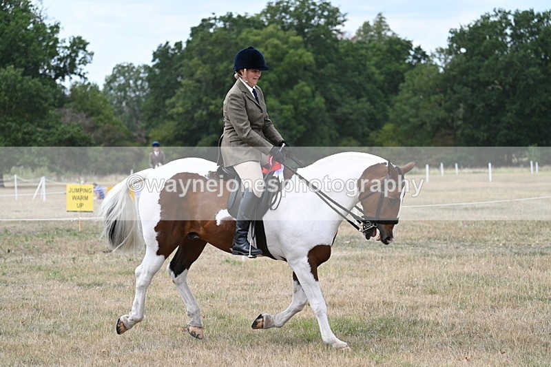 WJ7_5661 - Class 12 Ridden Cob