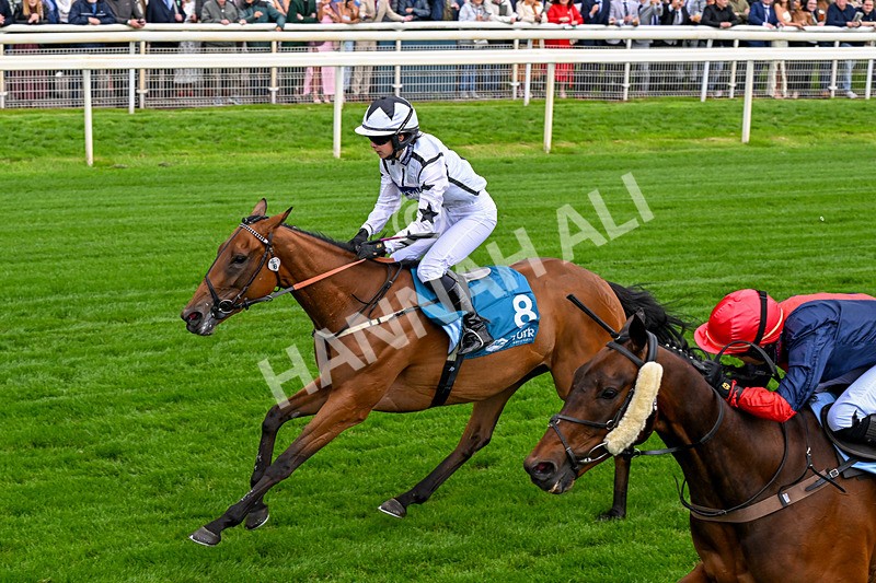 130626-Race 1-Dunkeld Dreamer-0334 - Race 1 13.50pm Queen Mother's Cup Handicap