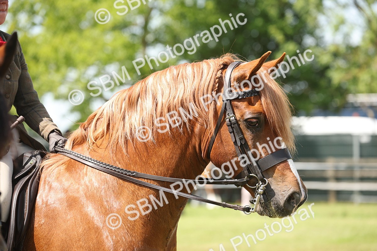 SBM_06962 - Class 26-30 - Mountain and Moorland Ridden