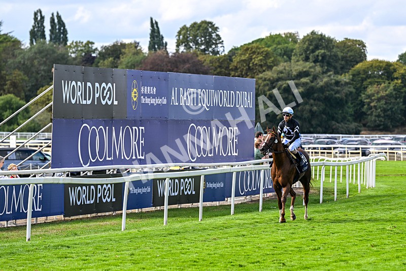 210826-Race 4-Bacio-6306 - Race 4 15.35pm Coolmore City Of Troy Nunthorpe Stakes
