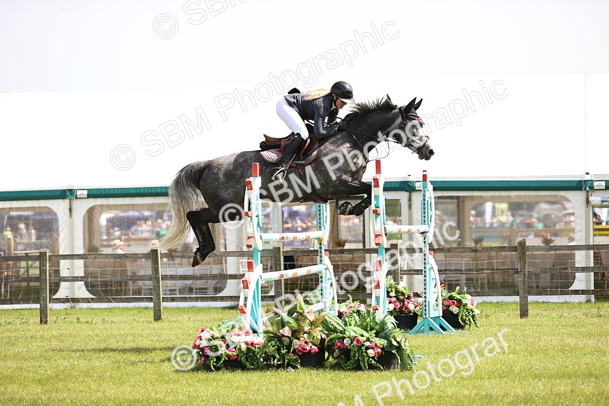 SBM_03240 - Class 201 - British Horse Feedds Speedi Beet HOYS Grade C